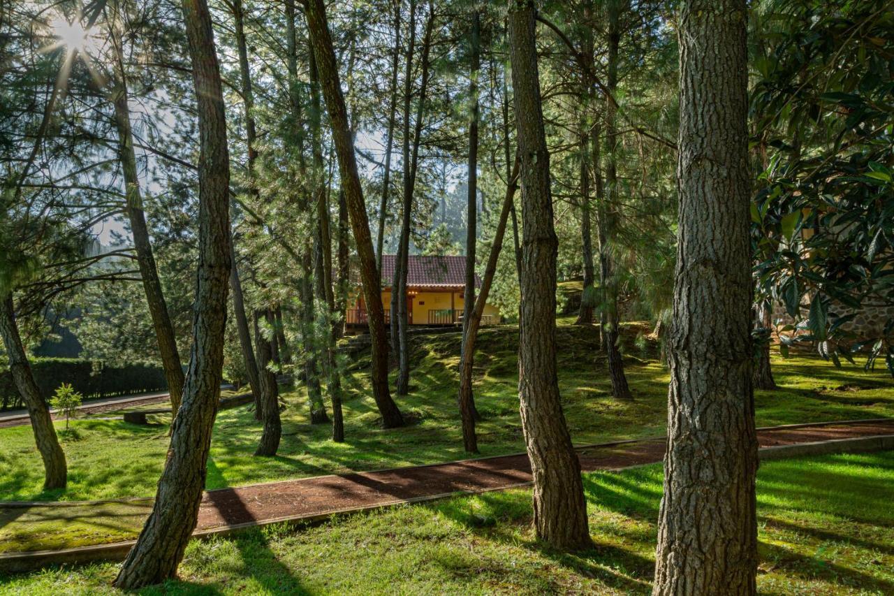 Bosque Escondido Mazamitla Exterior foto
